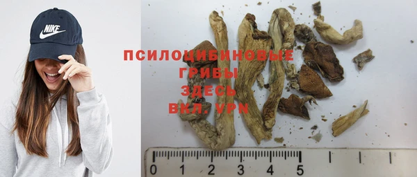 тгк Нефтекумск