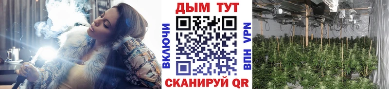 даркнет сайт  Правдинск  блэк спрут как войти  Конопля планчик 